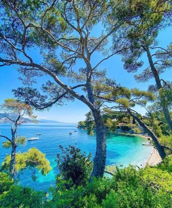 Saint Jean Cap Ferrat Grand Studio Avec Terrasse Exterior photo